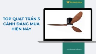 Lưu Nháp Tự động