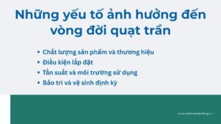 Lưu Nháp Tự động