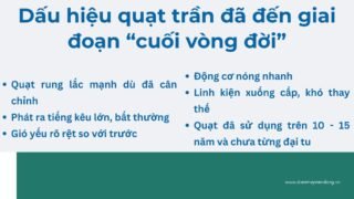 Lưu Nháp Tự động