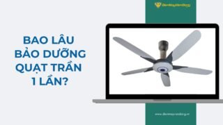 Lưu Nháp Tự động
