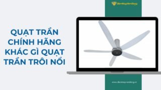 Lưu Nháp Tự động