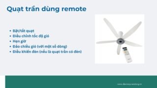 Lưu Nháp Tự động