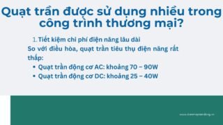 Lưu Nháp Tự động