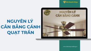 Nguyên Lý Cân Bằng Cánh Quạt Trần
