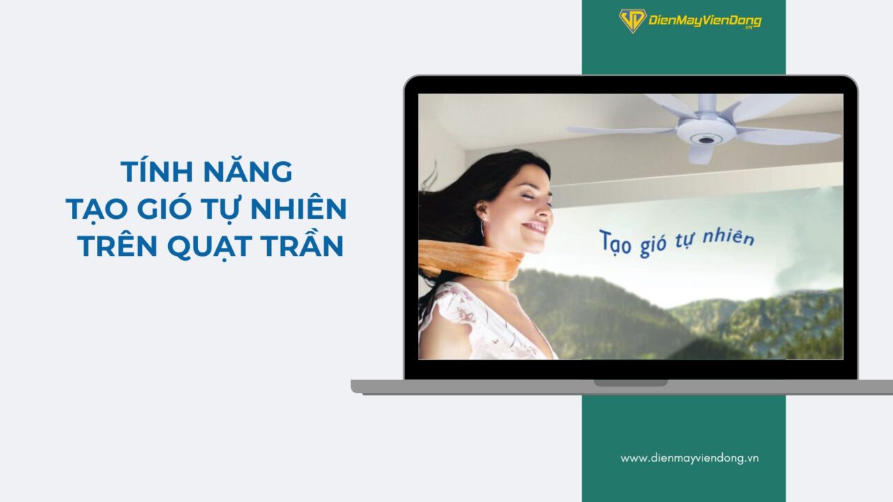 Lưu Nháp Tự động