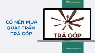 Lưu Nháp Tự động